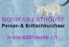 Direktlink zu Monikas Cathouse
