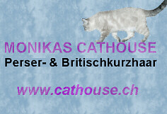 Monikas Cathouse